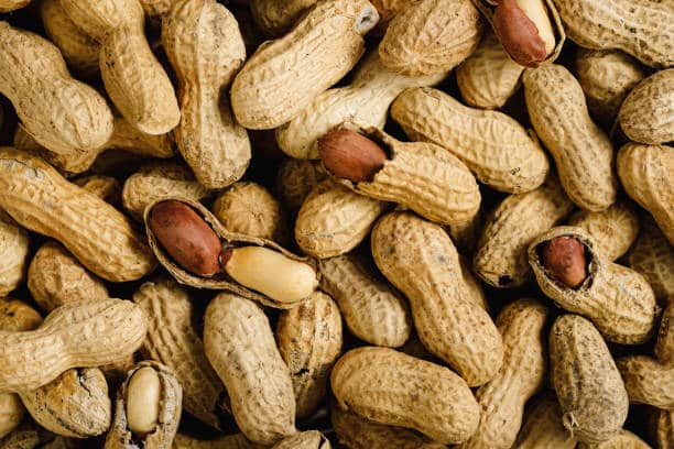 تصویر 3 از خرید و فروش بادام زمینی با پوست با شرایط فوق العاده